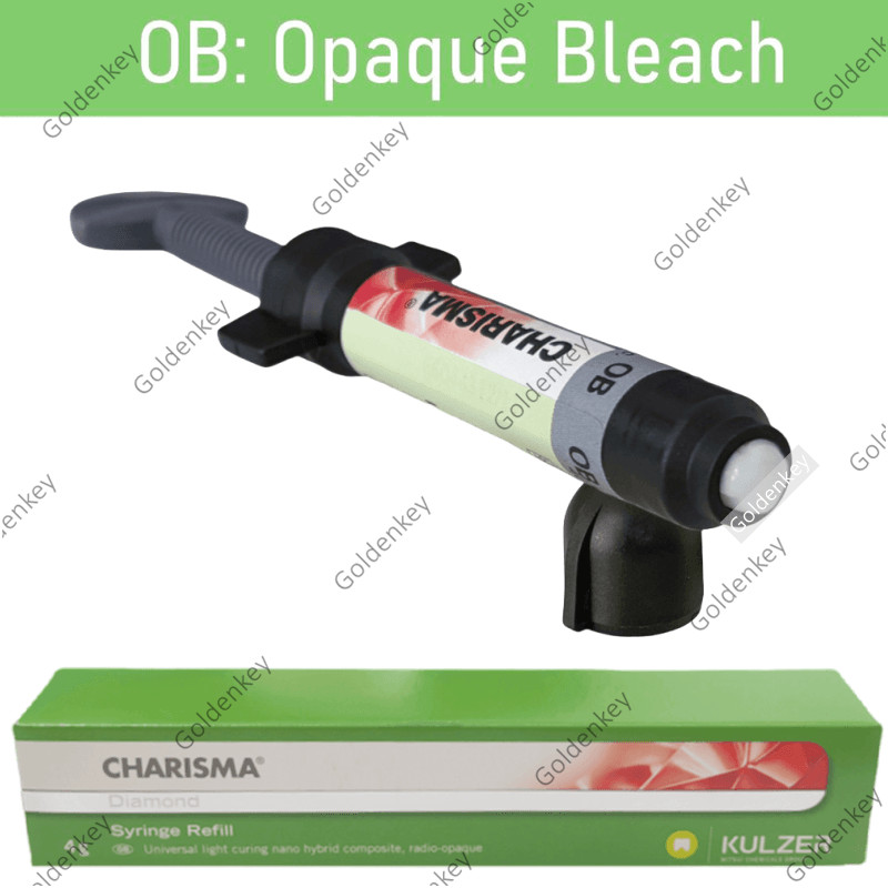 Dental KULZER CHARISMA Diamond OB Light Cure Composite Resin BL BXL Super White