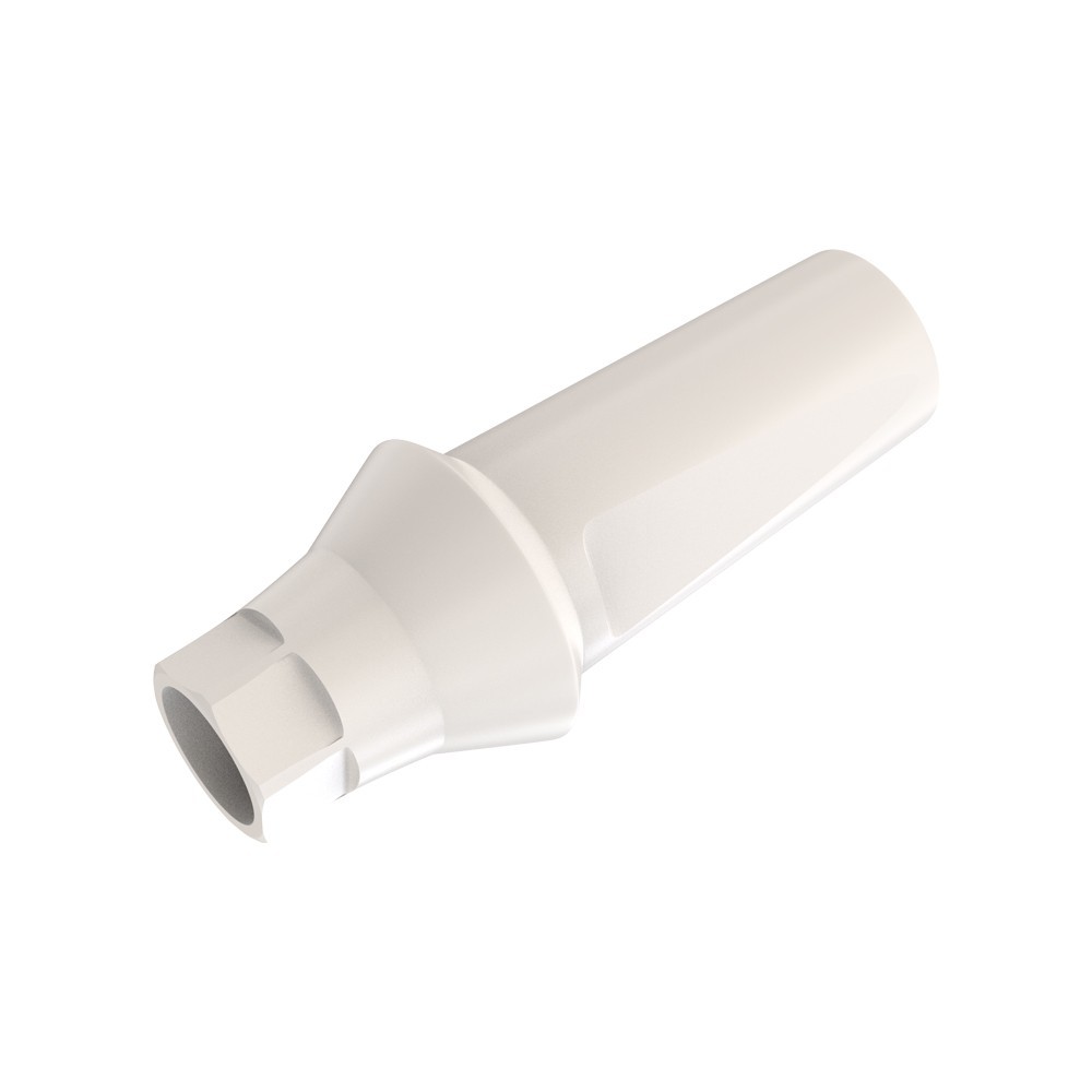 10pcs DSl Straight Abutments Anatomic Peek Conical Connection RP Dental Lab