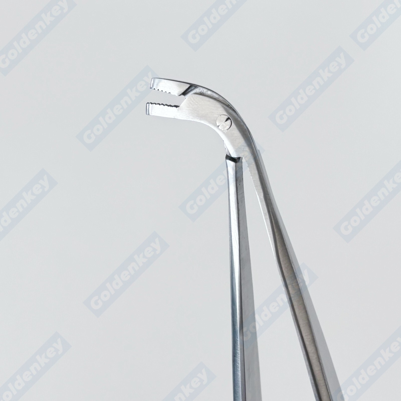 Dental Matrix Holder Clamp Matrices Tweezer Matrix Bands Forceps Placing Plier