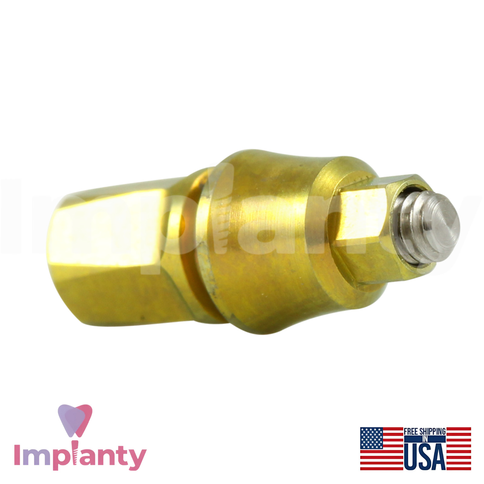 GDT Concave Anatomic Dental Titanium Prosthetics Kit Int Hex 2.42mm Connection