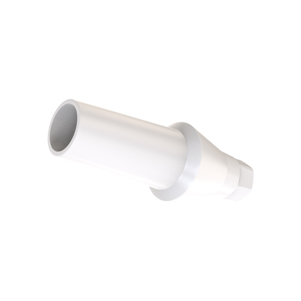 10pcs DSl Straight Abutments Anatomic Peek Conical Connection RP Dental Lab