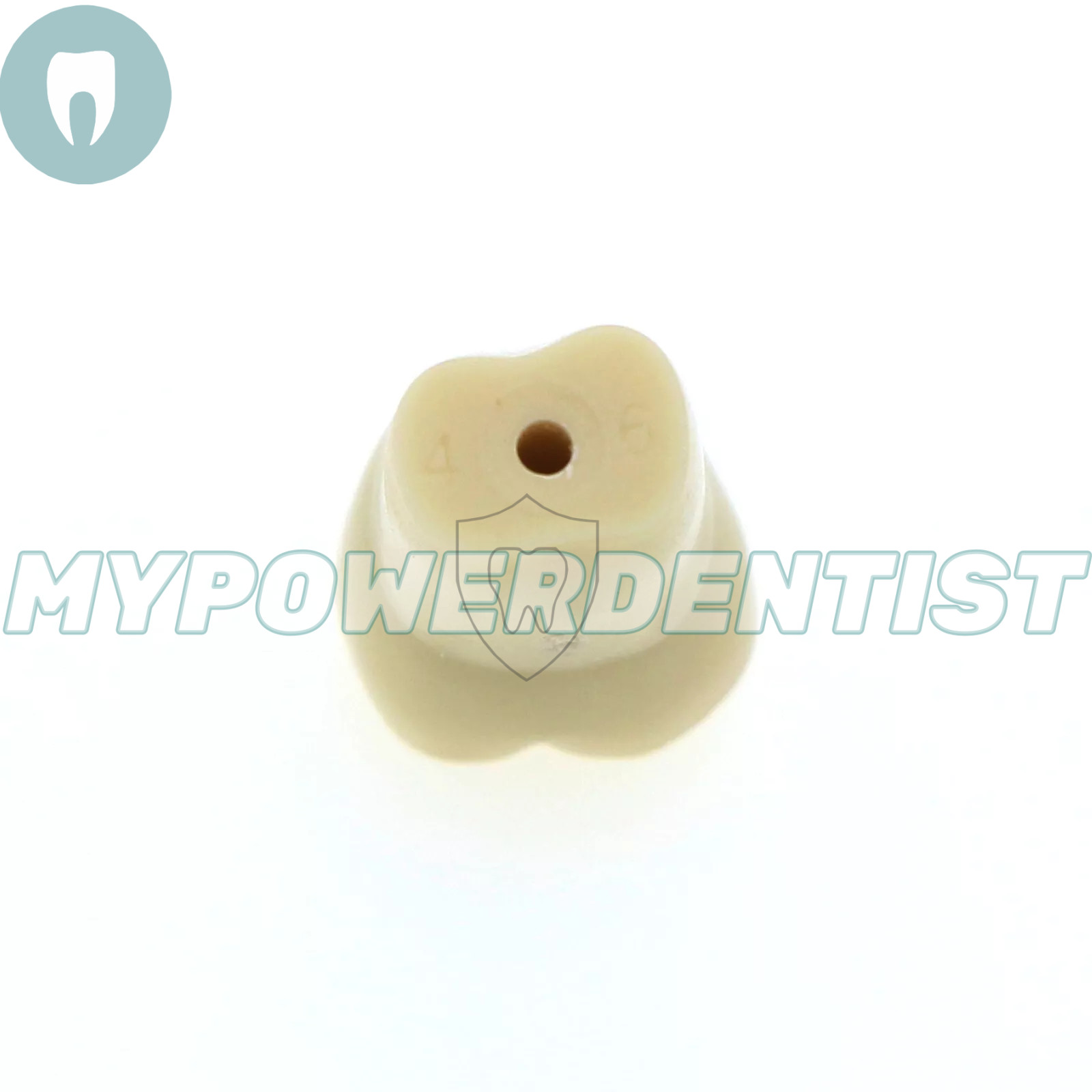 Frasaco Ag3 Type Dental Restorative Typodont Model 32Pcs Removable Teeth M8014-2