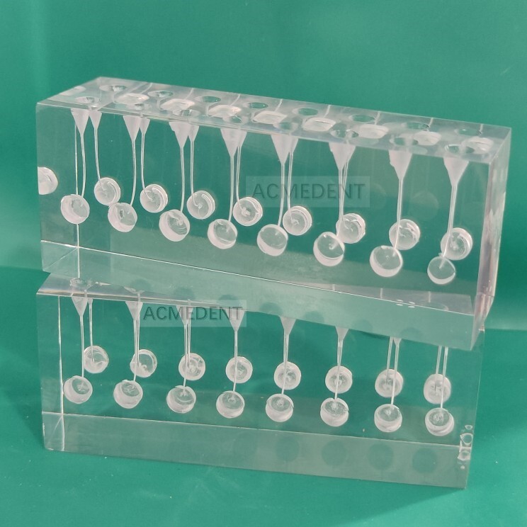 Dental Endo Files Practise Blocks Curved Combined 16-Root Canal Clear RCT Block