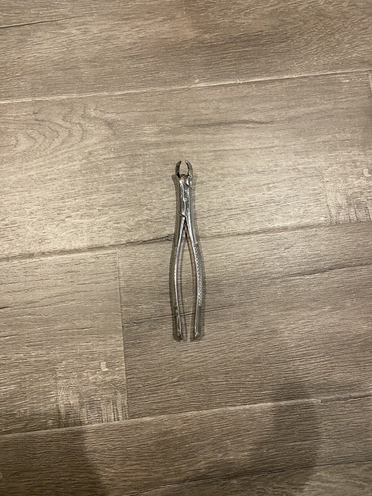 Henry Schein Cowhorn Forceps – #23