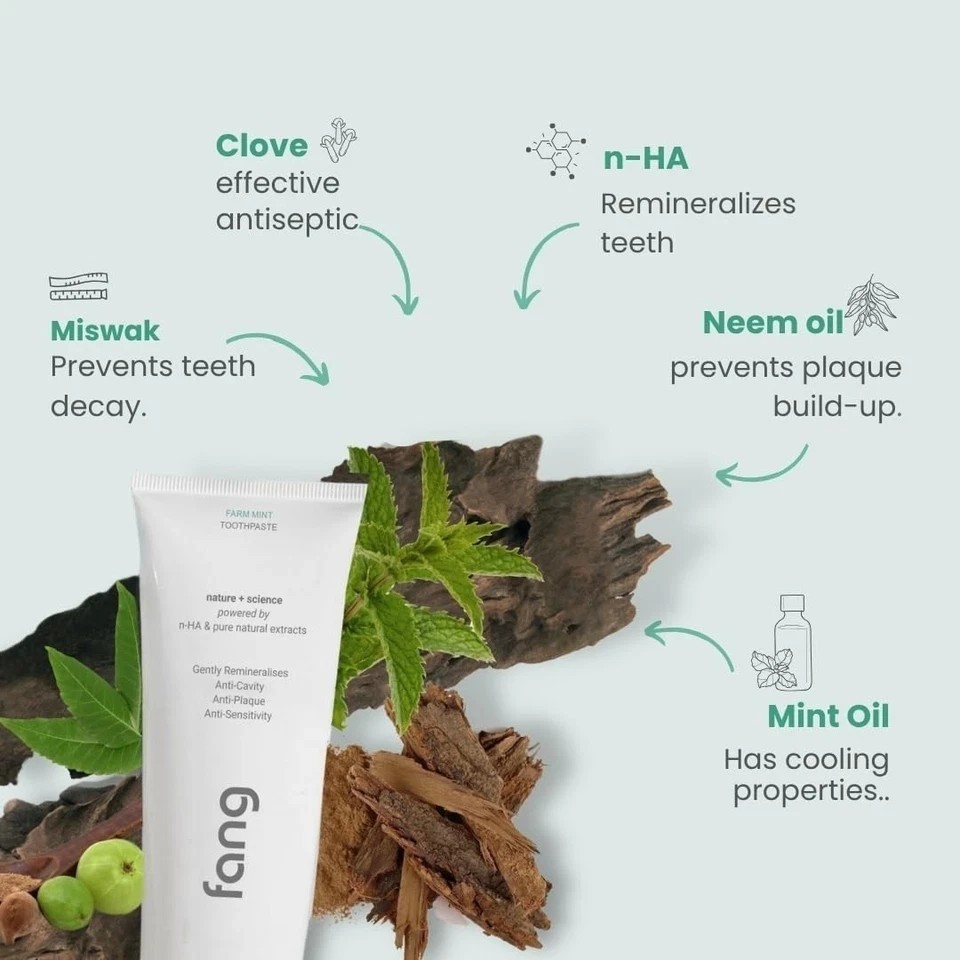 Fang Farm Mint Natural Toothpaste – 120 grams(Pack of 1) I681