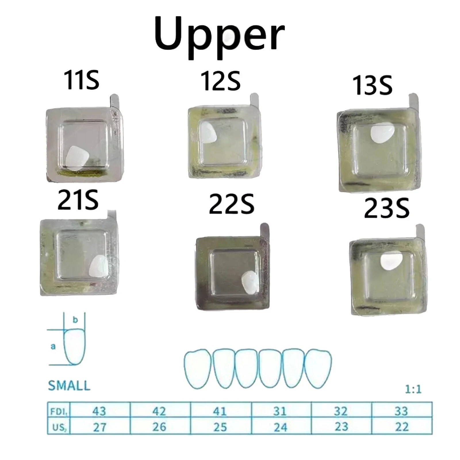 30 Sizes Resin Dental Lab Composite Light Cure Anterior Teeth Porcelain Veneers