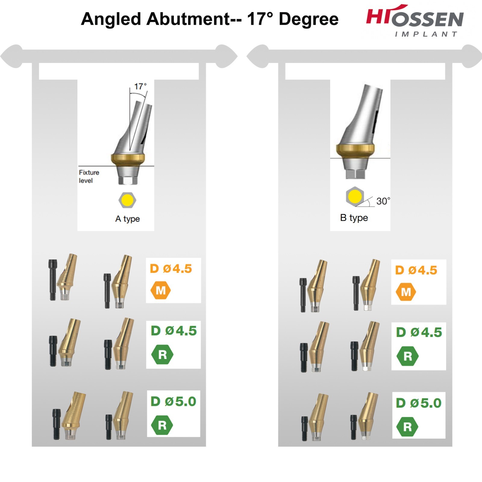US 5Pcs 17° Angled Anatomic Abutment Hiossen Osstem Mini Regular Hex Titanium