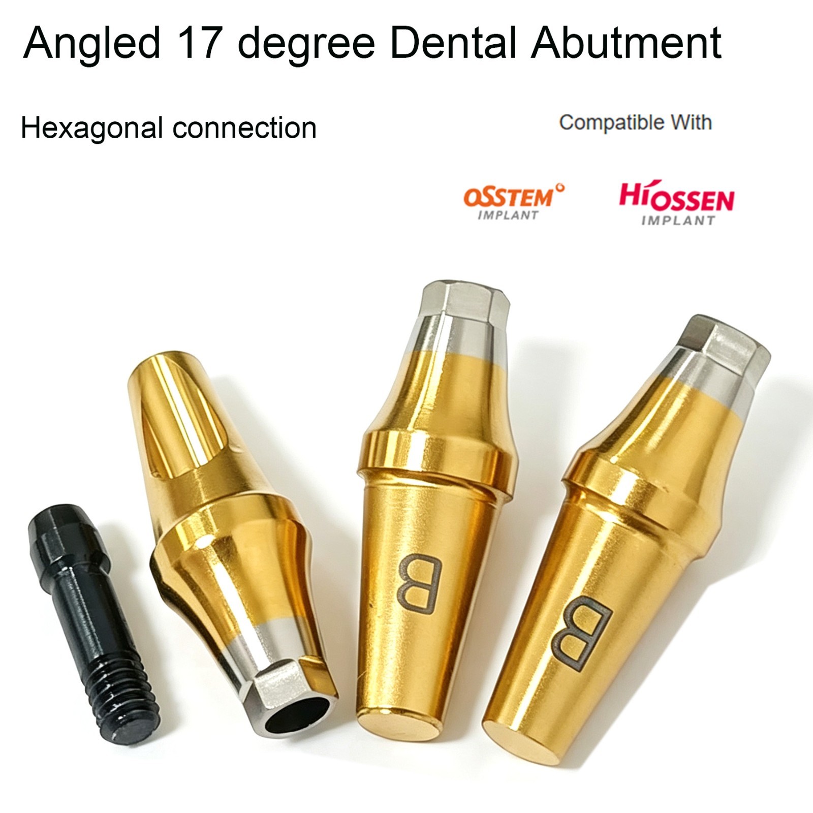 US Dental 17° Angled Anatomic Cemented Abutment for Hiossen ET OSS Regular Mini