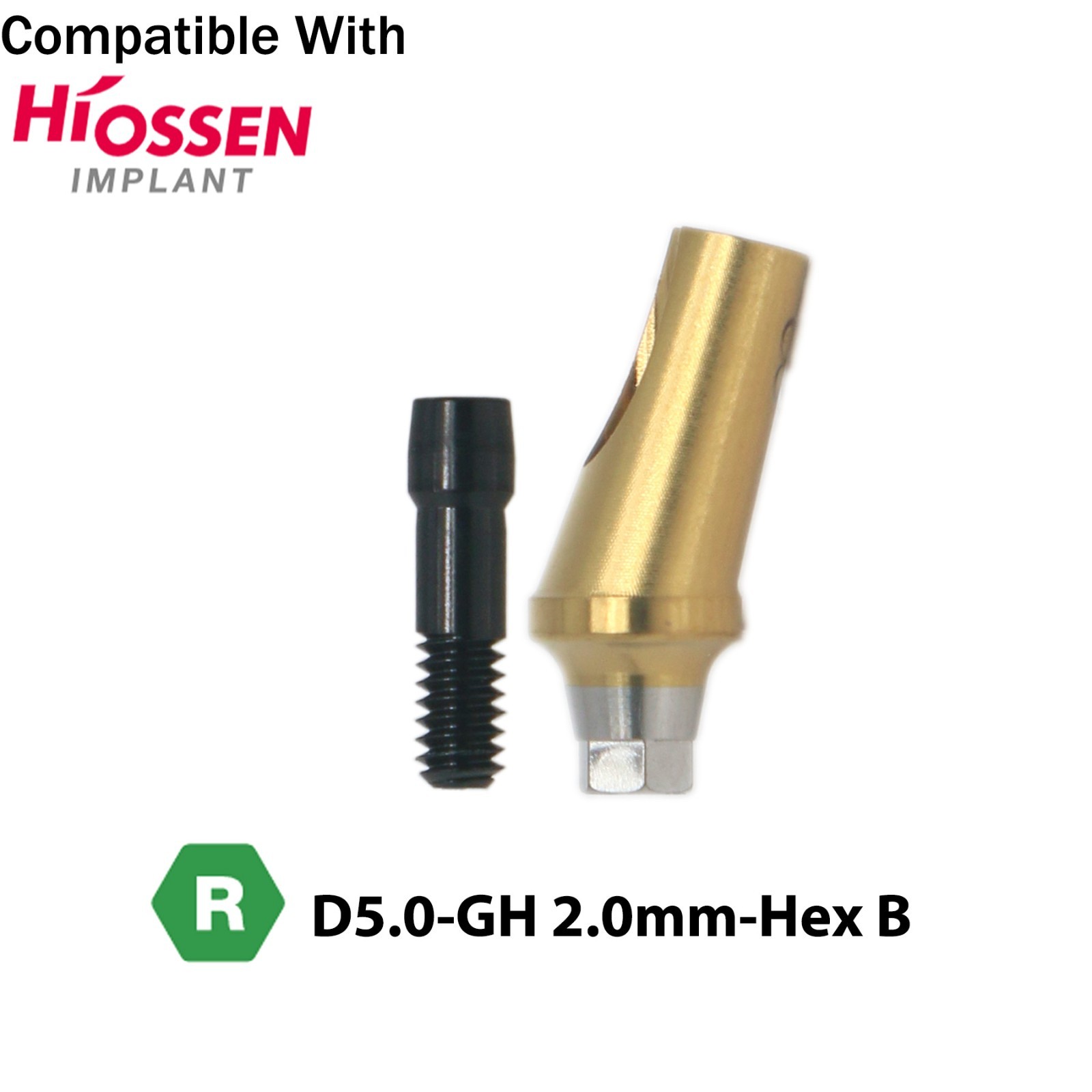 Dental 17° Angled Abutment Anatomic Fits Hiossen Osstem TS Hex Regular Platform