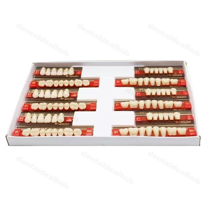 3 Layer Synthetic Resin Teeth Kit 3 Sets Box for Denture Making