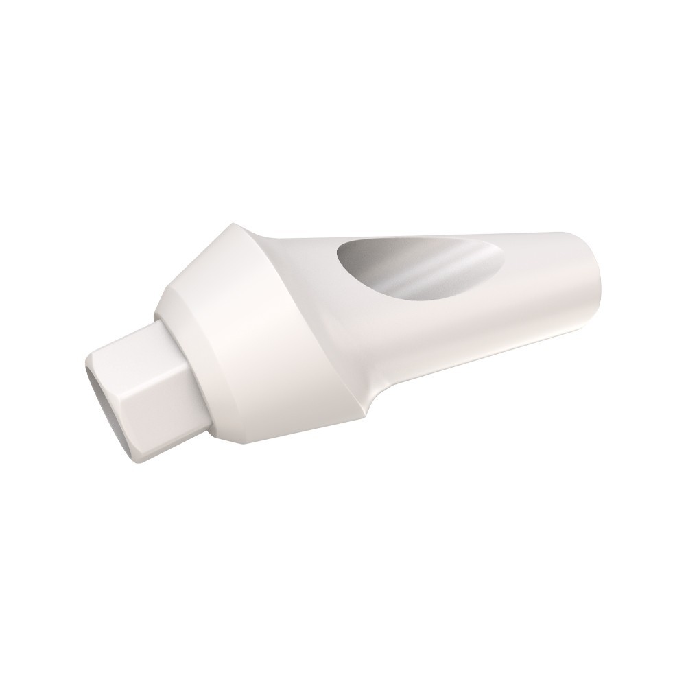 10pcs DSl Angulated Abutments Anatomic Peek With Screws 25° Internal Hex