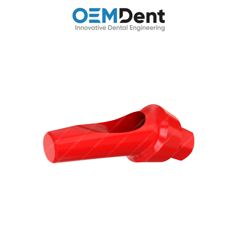 Angulated Anatomic Castable Prosthetic 25° – Paltop® Int Hex 2.42mm Compatible