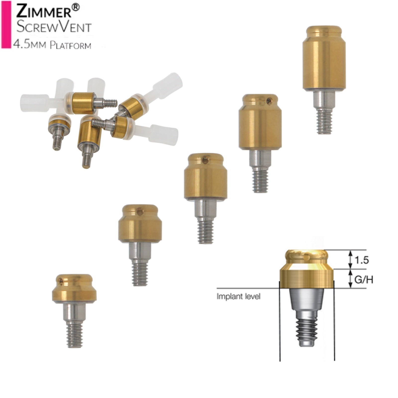Implant Fit Zest Locator Abutment Hiossen/Nobel/Zimmer/GM/MegaGen /Straumann