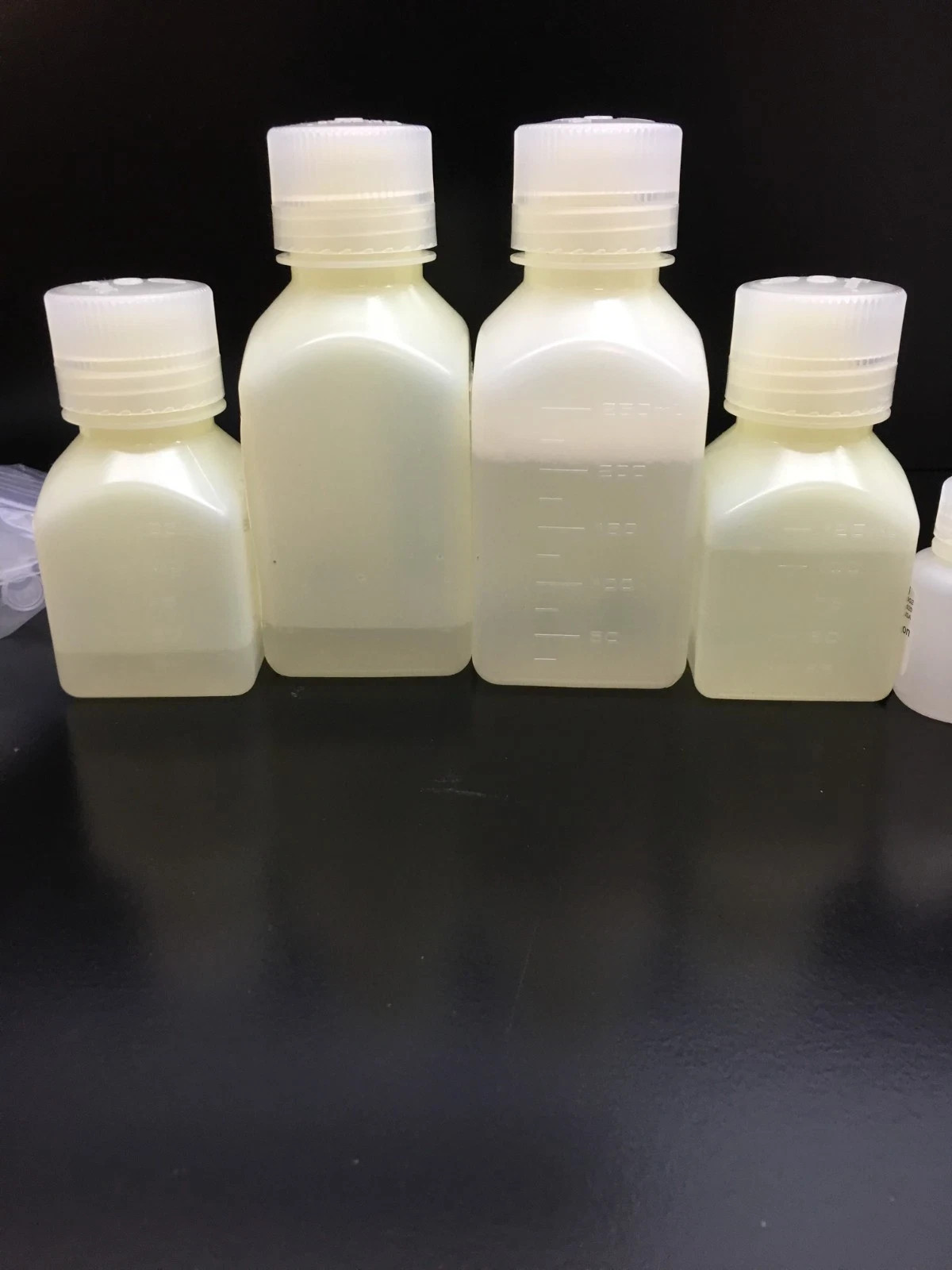 Thermo Scientific Ambion REF AM1911 RNAqueous Midi Total RNA Isolation Kit