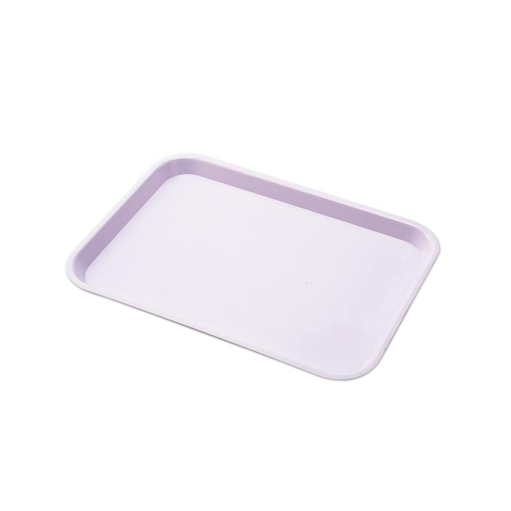 Dental Flat Instrument Set-Up Tray Size F Mini Autoclavable F Purple
