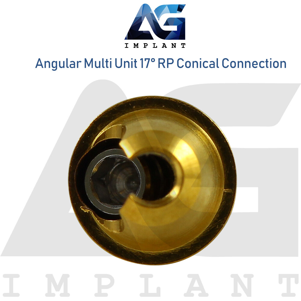 Angular Multi Unit Prosthetic System 17° Conical Connection RP Titanium Set