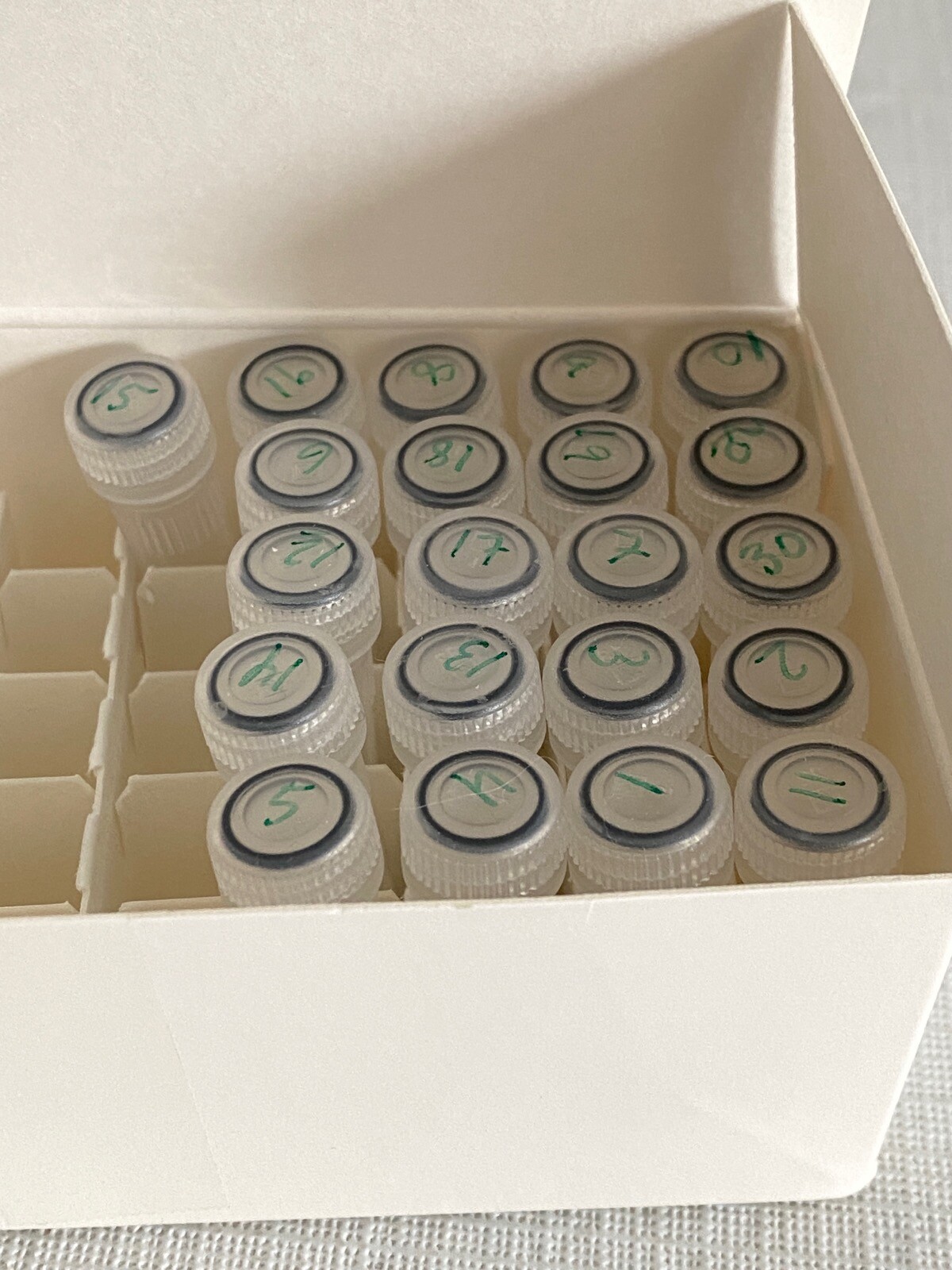 (31 Pcs) BENCHMARK BeadBug 2mL Prefilled Tubes 2.8mm Stainless Beads Acid Washed