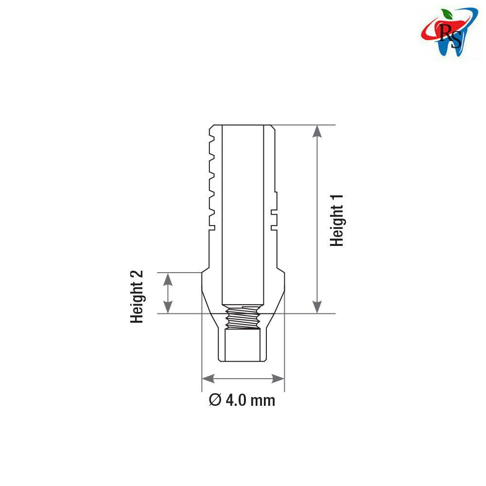 Dental Straight Shoulder Abutment Conical Connection RP Regular Platform 1pcs