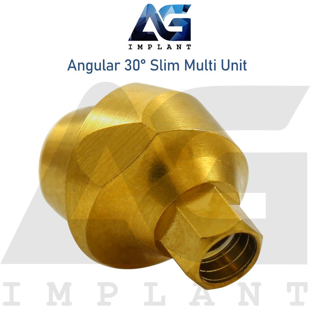 10 Angular Slim Multi Unit 1.6 Prosthetic 30° Int Hex Titanium With Screw
