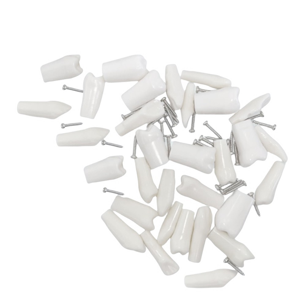 32Pcs Tooth Granule Set Dental Typodont Replacement Screw-in Teeth Model