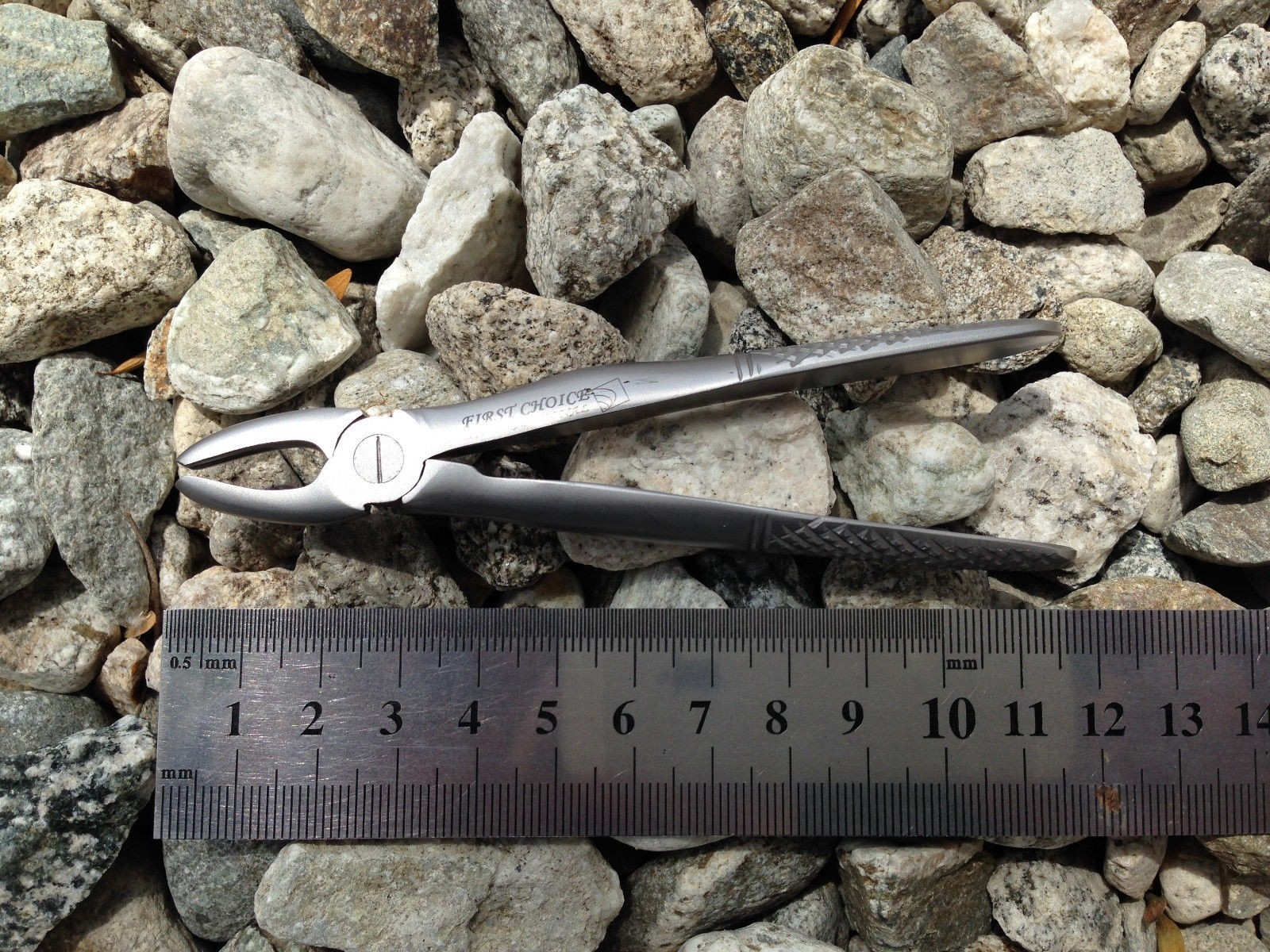 Children’s Forceps English Pattern Upper Centrals Fig 1. #1171