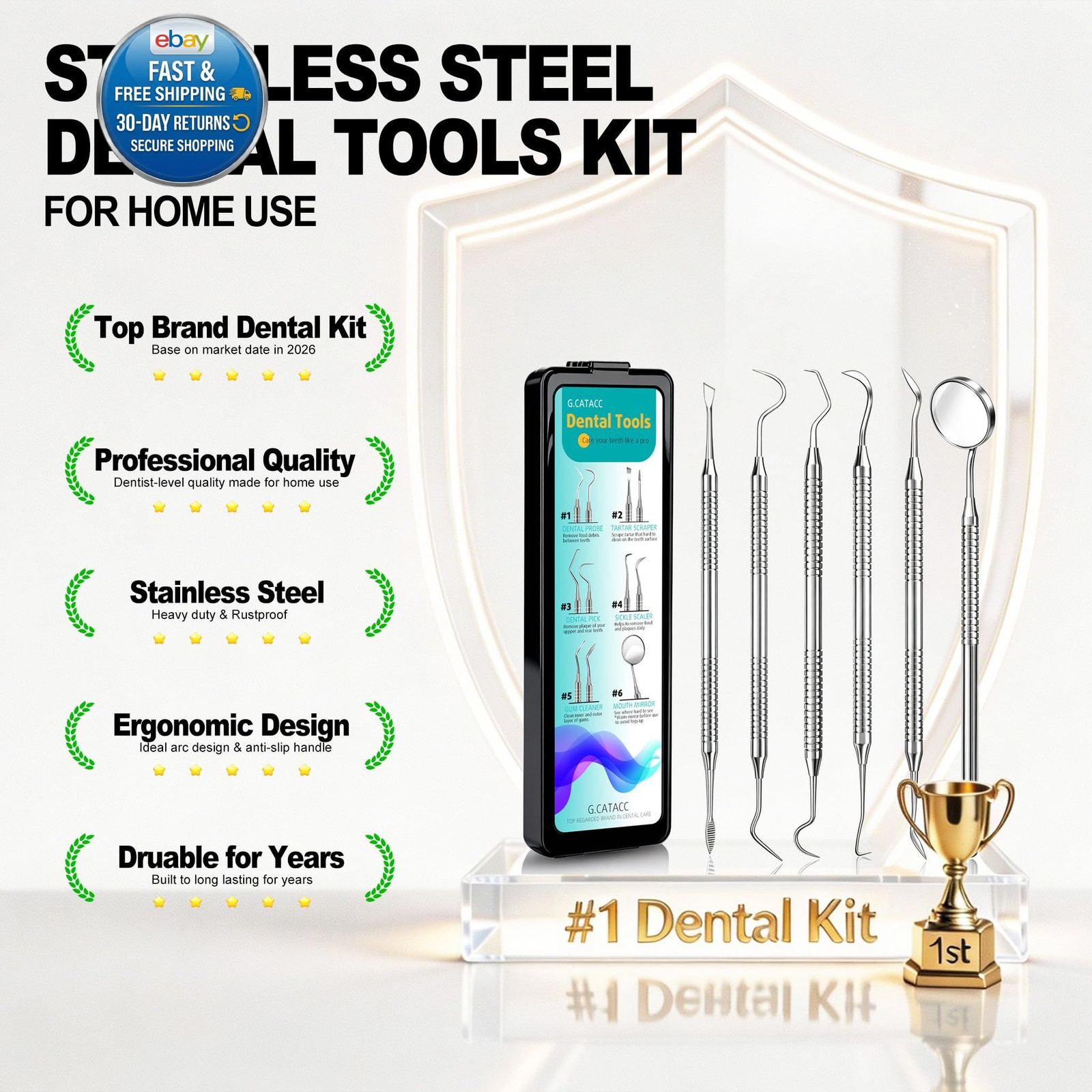 Dental Pick for Teeth Cleaning, Stainless Steel Hygiene Kit with Case