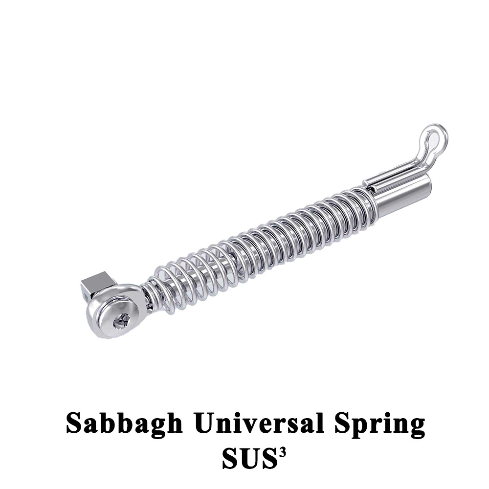 Dentaurum Dental SUS³ Sabbagh Universal Spring Orthodontic Application Set