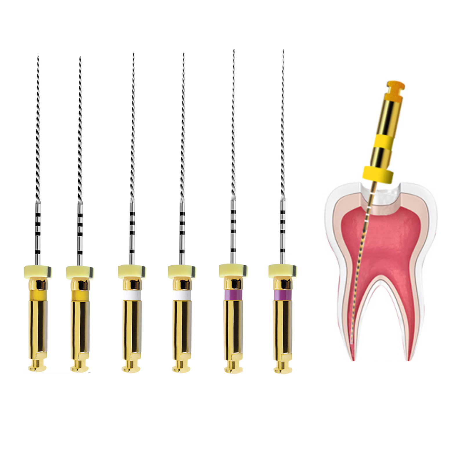 Dental Endo Rotary NITI File X-PATH Engine Root Canal Treatment 25MM 13#-19