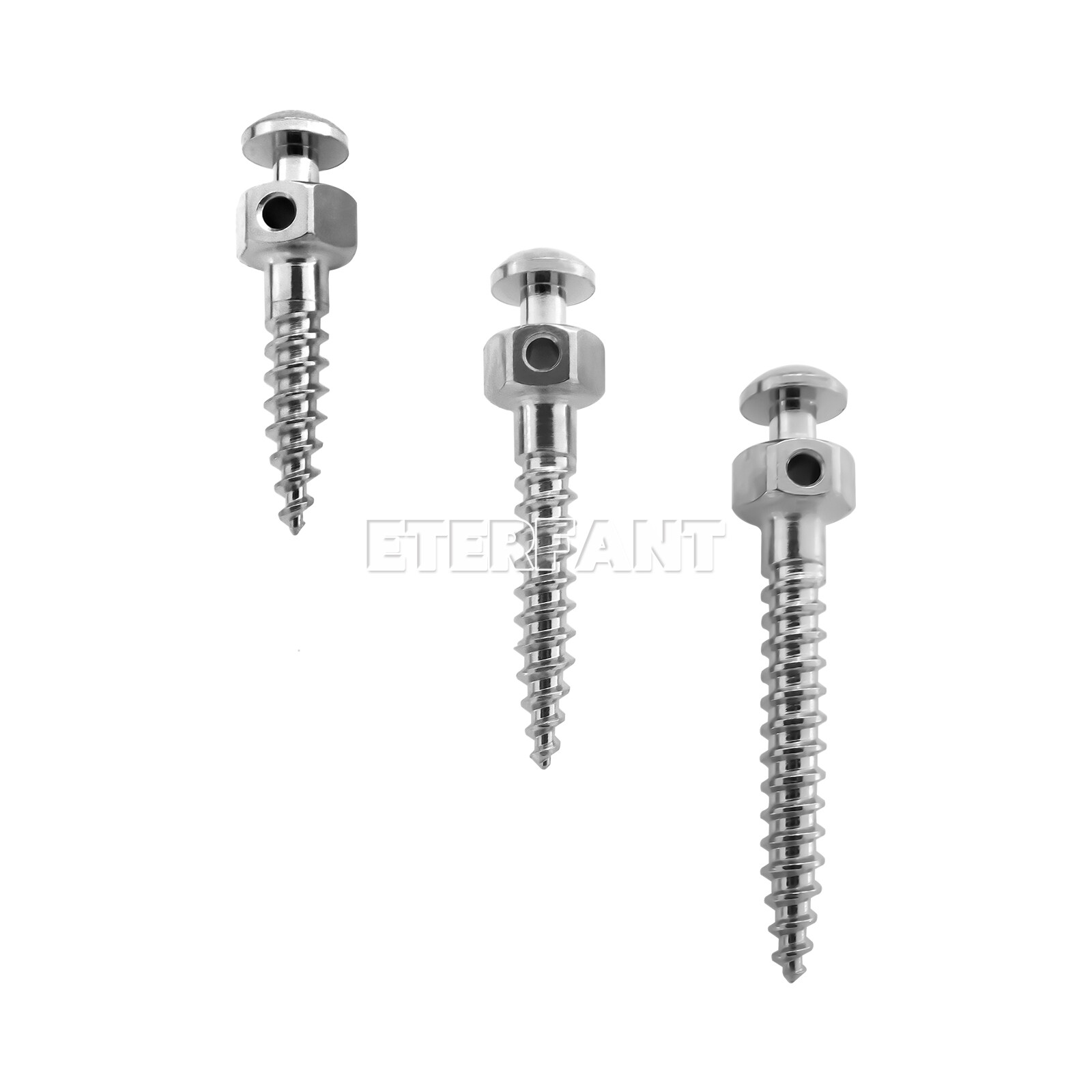 ETERFANT Dental Orthodontic Micro Implants Mini Screw Self-Drilling/Screwdriver