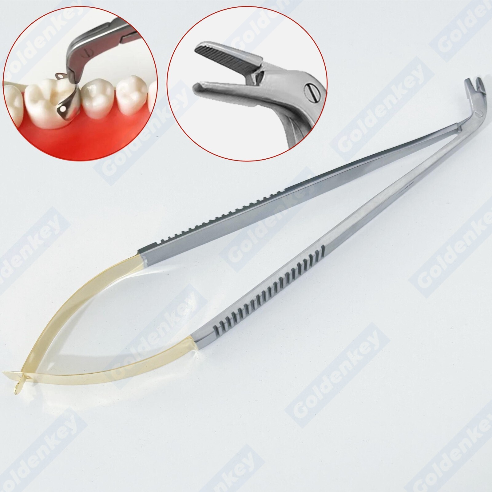 Dental Matrix Holder Clamp Matrices Tweezer Matrix Bands Forceps Placing Plier