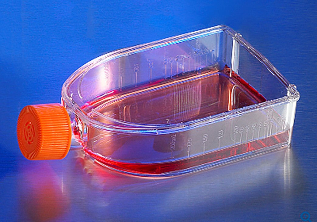*Sterile* Greiner Tissue Culture Flasks T-75 w/Filter Caps 120/CS