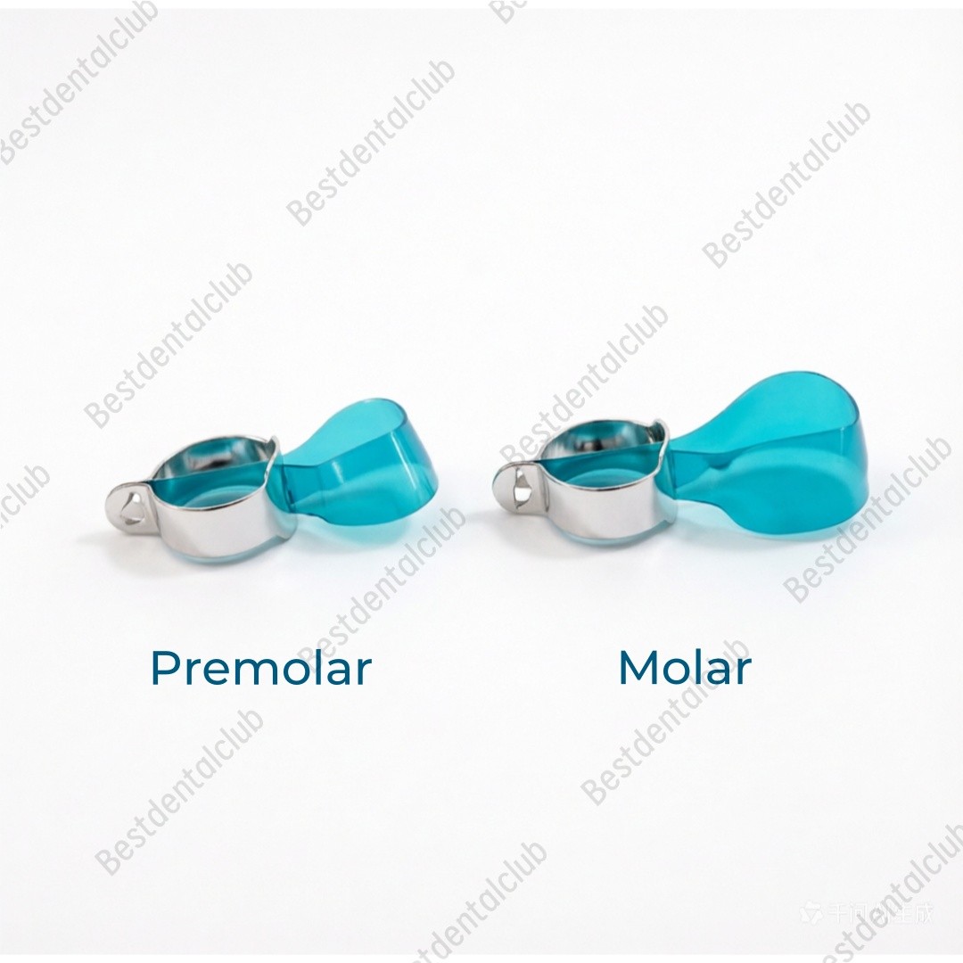 Dental Blue Posterior Matrices Ring Molar Premoar Matrice Strips M12 1.0 USA