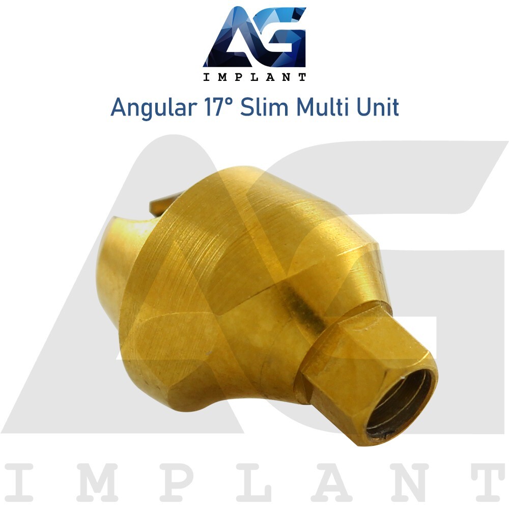 10 Angular Slim Multi Unit 1.6 Prosthetic 17° Int Hex Titanium With Screw