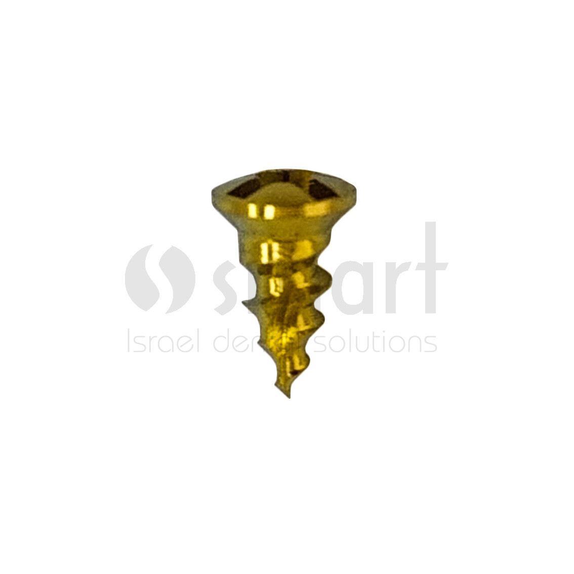 Lot x10 Screw titanium pin membrane Fixation Bone GBR Ø1.6 L3 tac