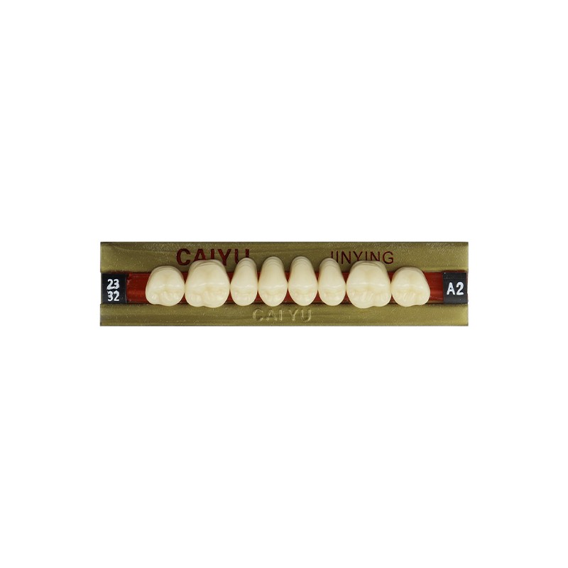 Dental Four Layer Synthetic Resin Teeth Anterior Posterior Polymer Denture
