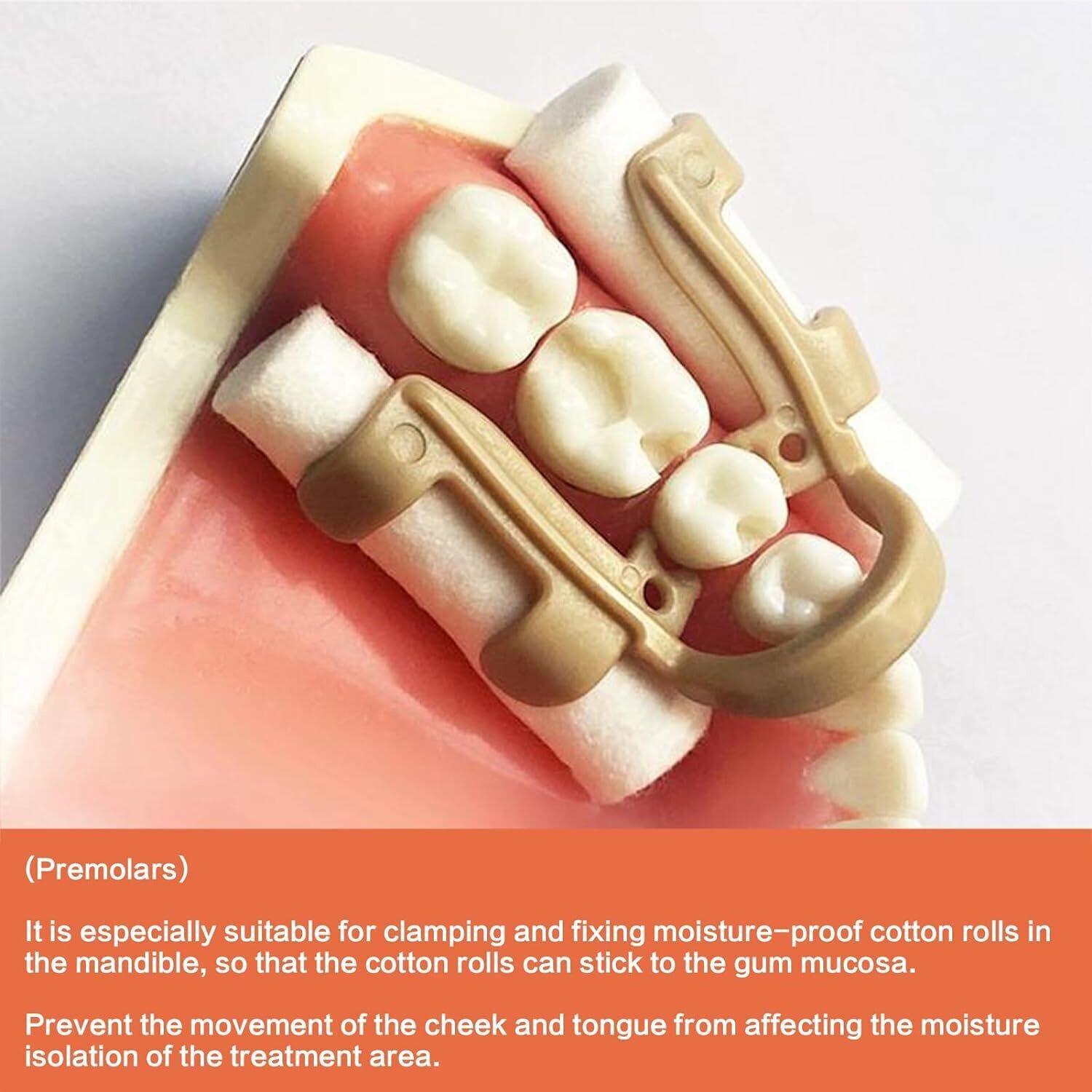 5 Box Dental Autoclavable Moisture Isolation Clip Resin Clamp Cotton Instrument