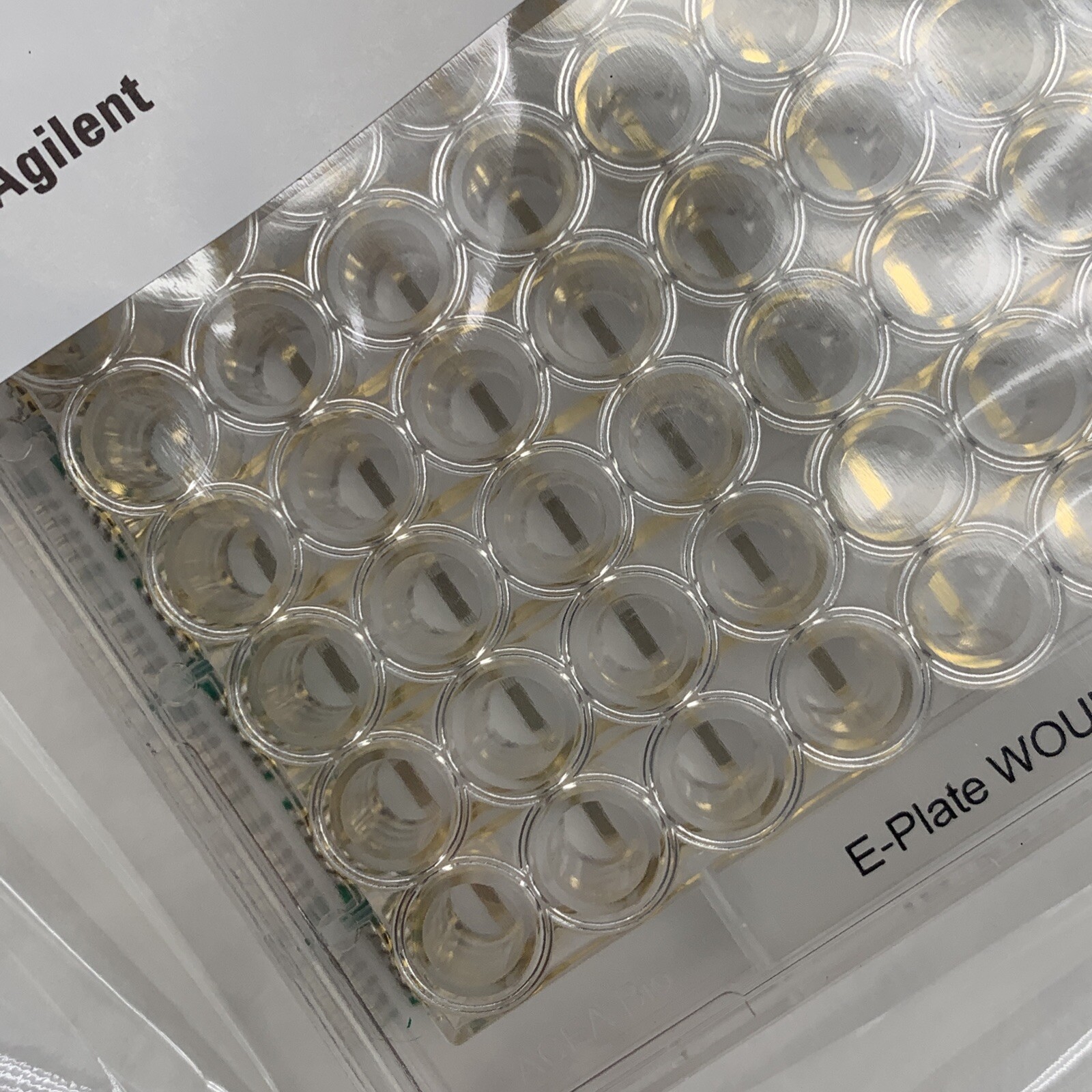 (6-Plates) Agilent 300600980 E-Plate Wound 96, EXPIRED August 2022