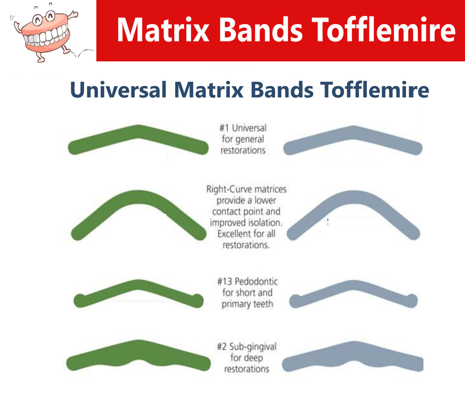 Dental Universal Tofflemire Matrix Bands Stainless Steel Adult / Pedo 12-144/Pk