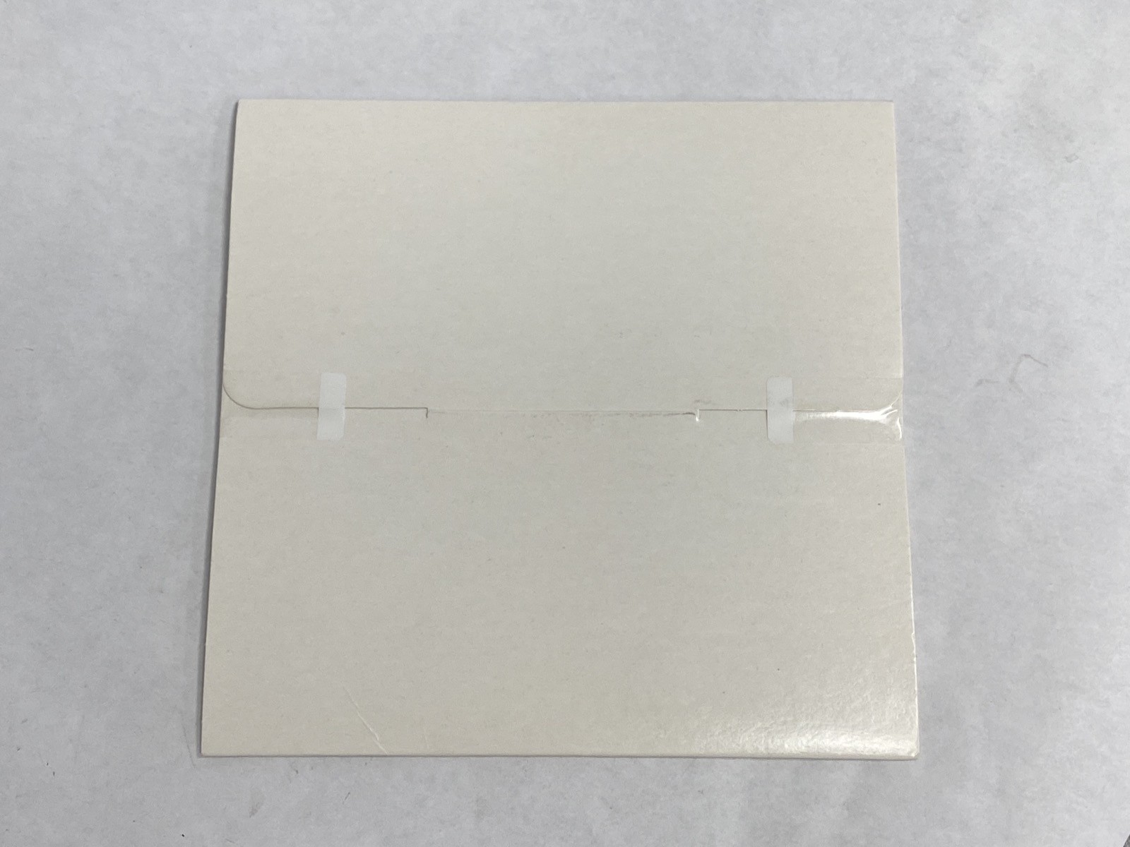 (10) WHATMAN Nytran SPC 0.45um Nylon Blotting Transfer Membrane Sheets 10416230