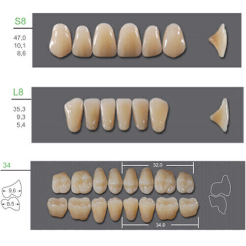 Huge Kaili Synthetic Polymer False Teeth Shade A3.5 Full Set: 28 teeth/set 4 set
