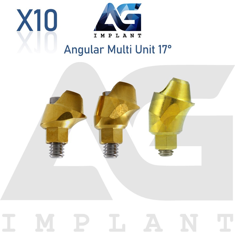 10 Angular Multi Unit 1.6 Prosthetic System 17° Internal Hex With Screw