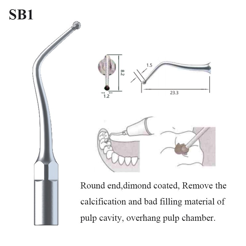 Dental Ultrasonic Scaler Tips Scaling Endo Perio Tips Fit EMS Woodpecker Handle