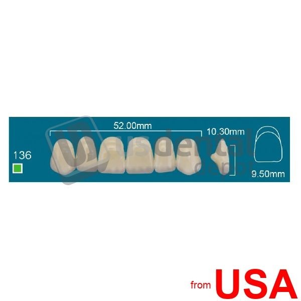 RAFAEL 136 Upper Anterior A0 (1 X 6) – Square Rafael 2 layers Denture Ac 114644