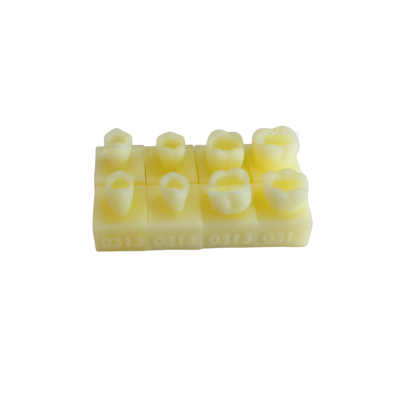 40-Pcs Dental Flow Composite Resin Filling Model Practise Fit with Ivolclar KERR