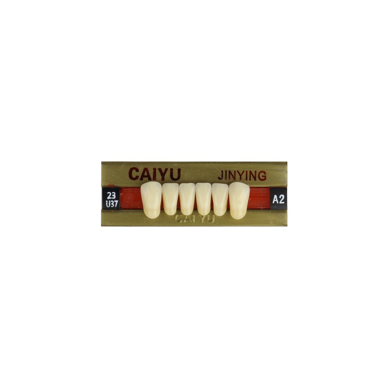 Dental Four Layer Synthetic Resin Teeth Anterior Posterior Polymer Denture