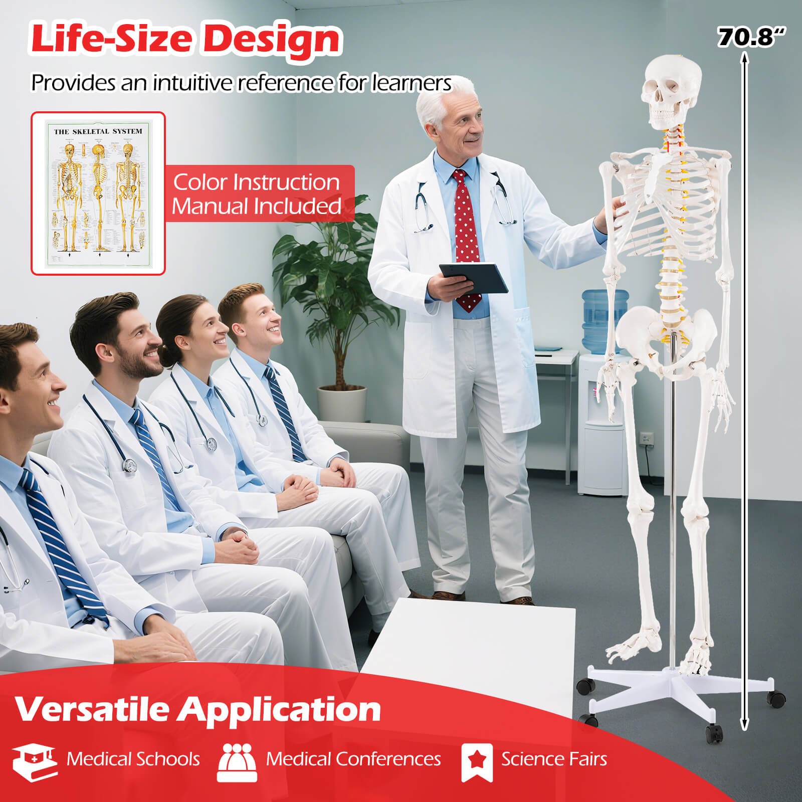 70.8″ Life-size Skeleton Model Medical School Human Anatomy W/Rolling Stand