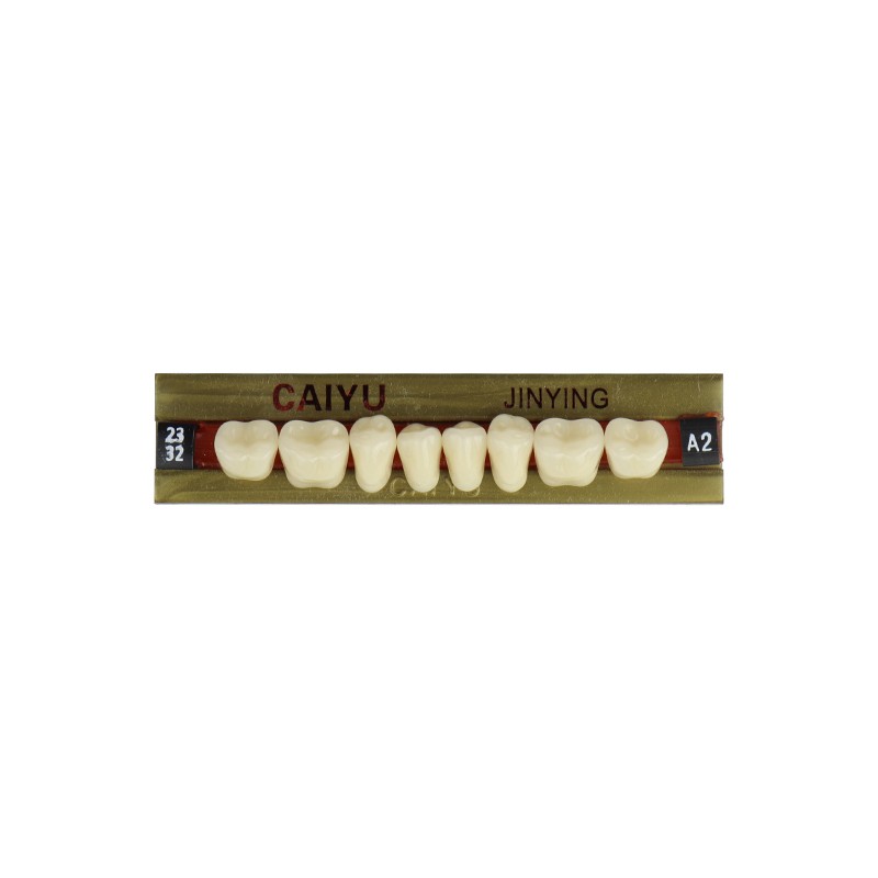 Dental Four Layer Synthetic Resin Teeth Anterior Posterior Polymer Denture