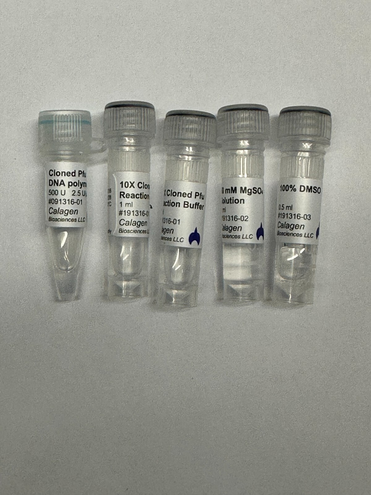 Pfu DNA polymerase (500 U) kit (Not Taq polymerase)