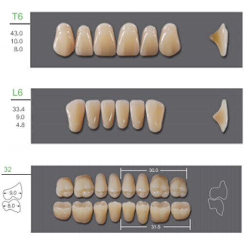 Huge Kaili Synthetic Polymer False Teeth Shade A1 Full Set: 28 teeth/set 4 sets