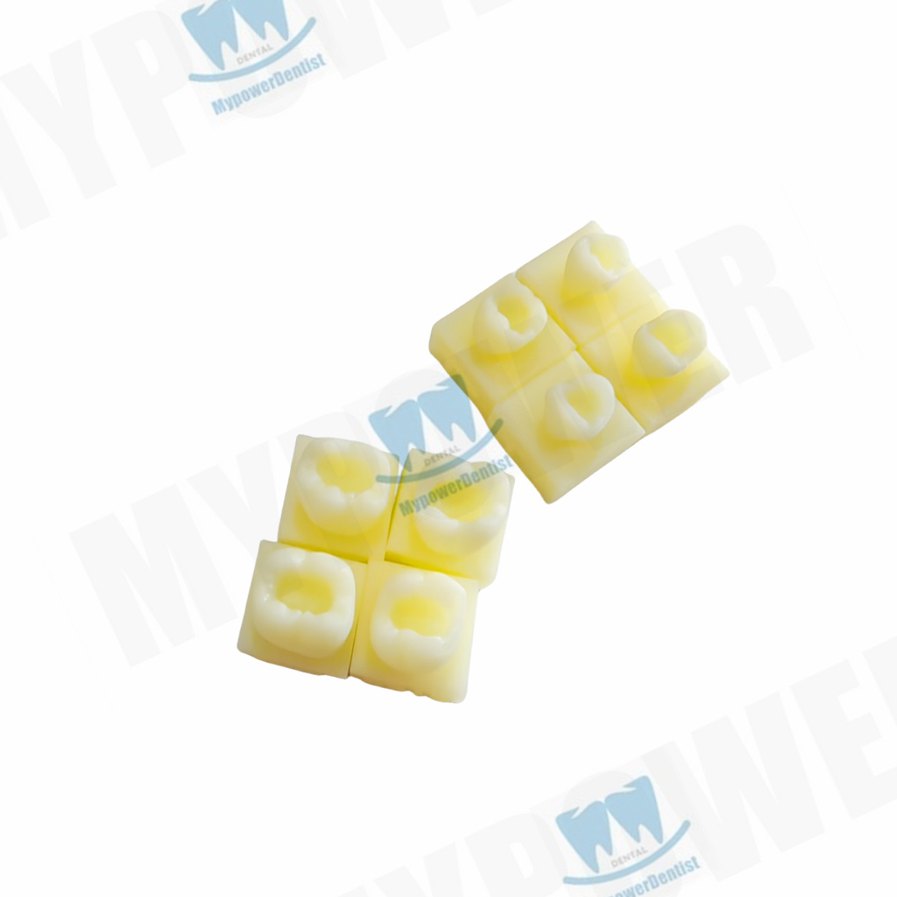 Dental Cavity Preparation/Vitro Decay Caries Model/Composite Resin Filling Model
